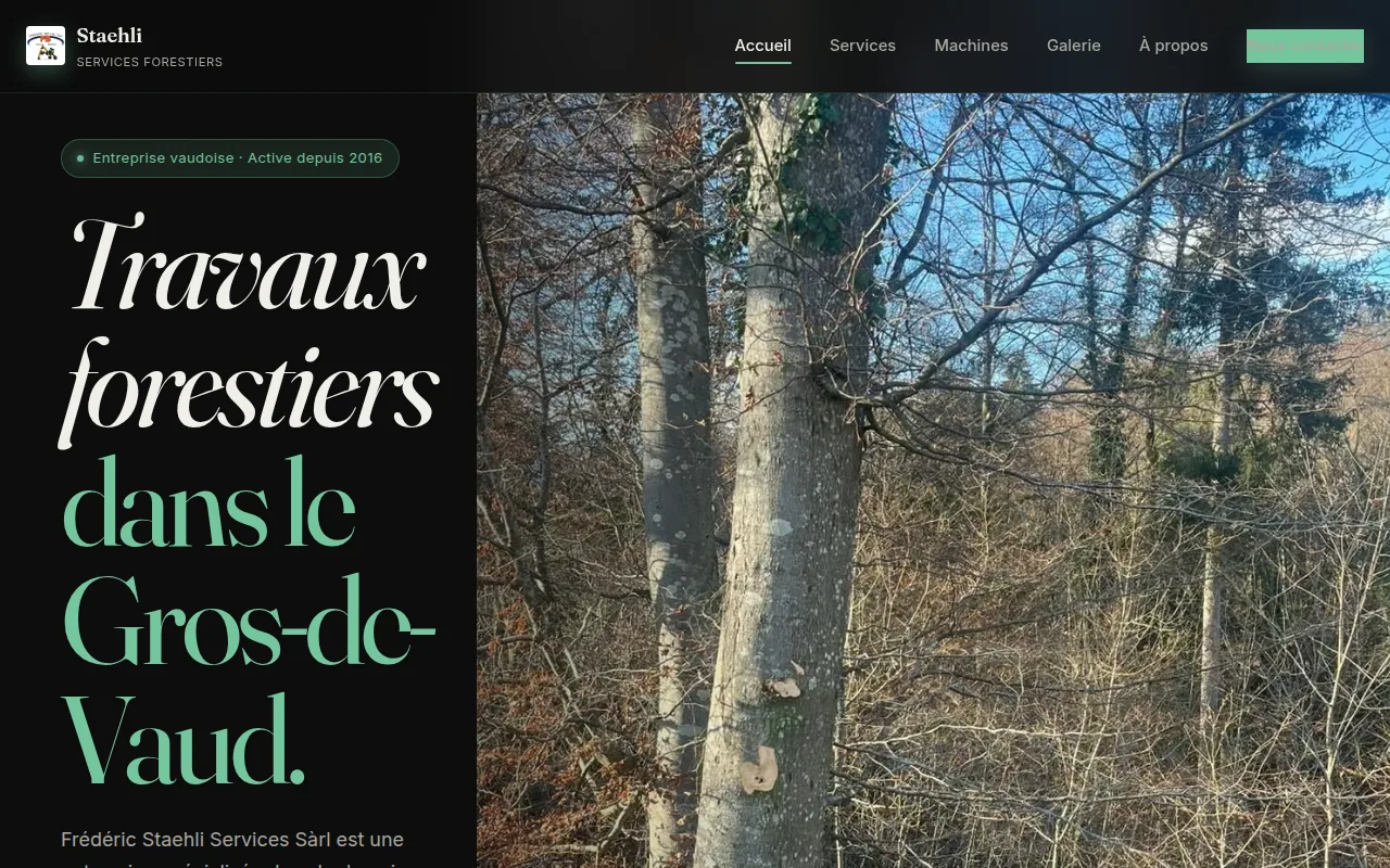 Aperçu du site Frédéric Stähli Services Sàrl